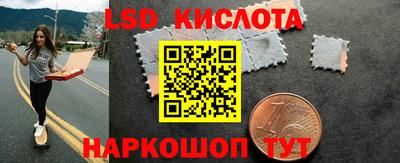 стафф Бийск