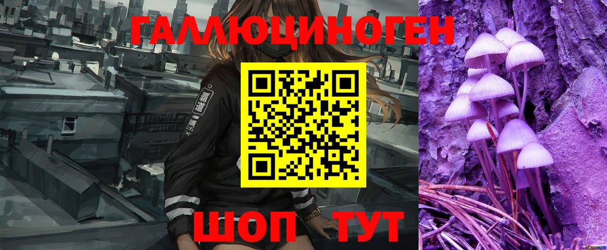 Галлюциногенные грибы Psilocybe Ульяновск