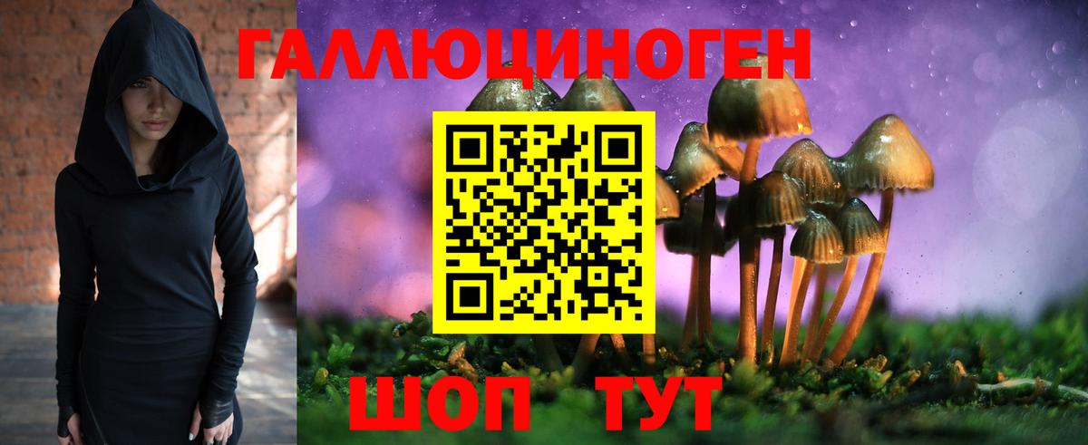 Ульяновск  Галлюциногенные грибы Psilocybine cubensis  Псилоцибиновые грибы Psilocybine cubensis  Вход с VPN 